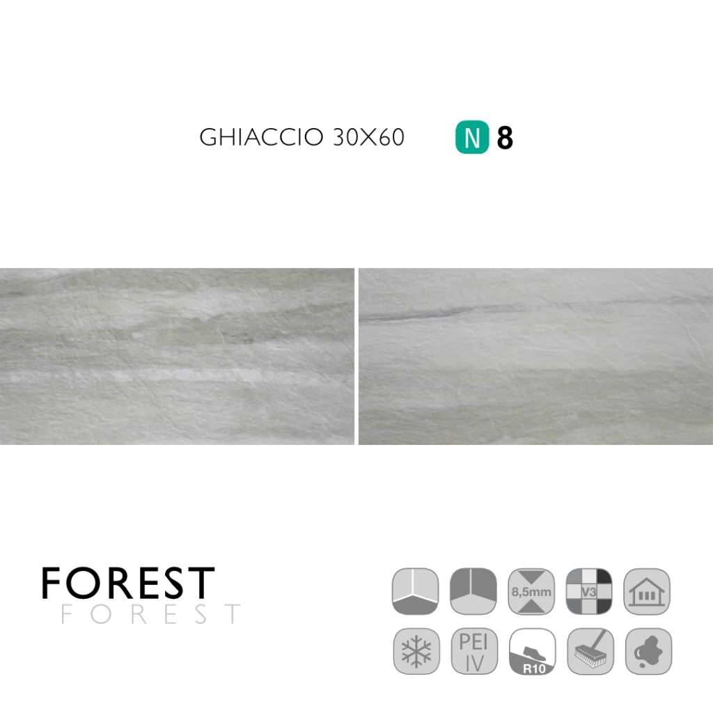 Forest Ghiaccio 30x60