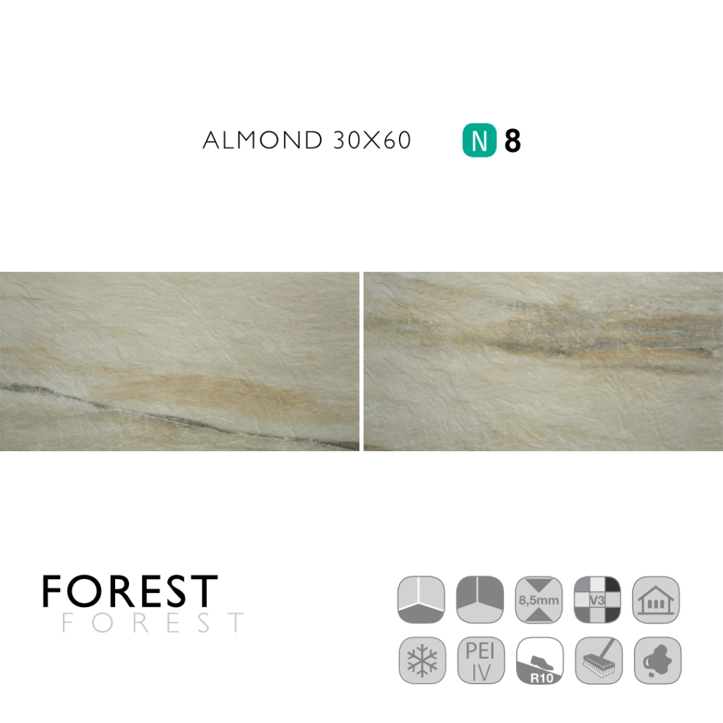 Forest Almond 30x60