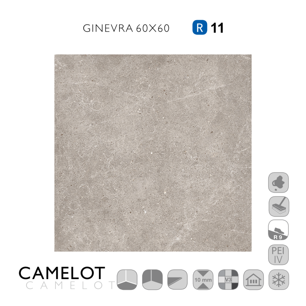 Camelot Ginevra